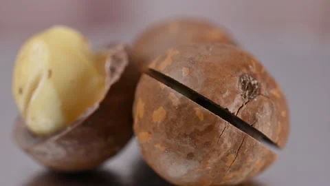 Video of a macadamia nut in its shell Stock Footage 328426395