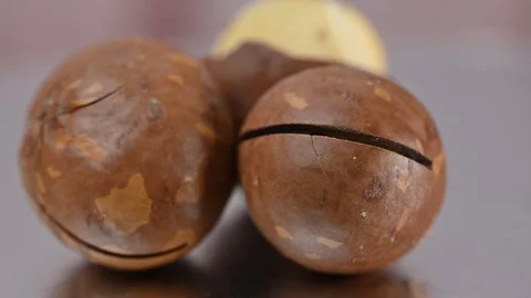 Video of a macadamia nut in its shell Stock Footage 328426539