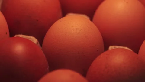 Video macro detail of brown eggs with warm light passing over them. Stock Footage 262804442
