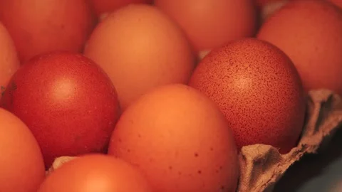 Video macro detail of brown eggs with warm light passing over them. Stock Footage 262804476