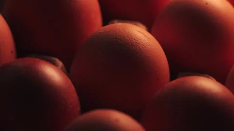 Video macro detail of brown eggs with warm light passing over them. Stock Footage 262804478