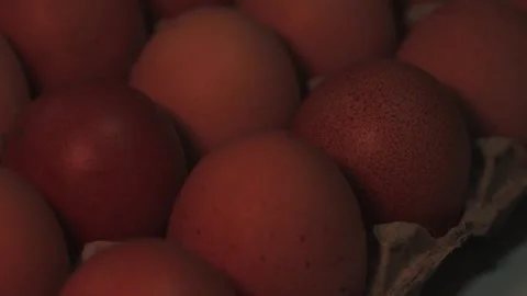Video macro detail of brown eggs with warm light passing over them. Stock Footage 262804484