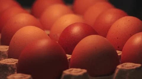 Video macro detail of brown eggs with warm light passing over them. Stock Footage 262804532