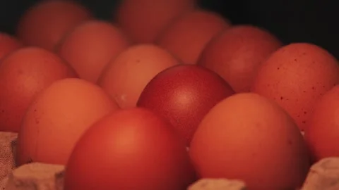 Video macro detail of brown eggs with warm light passing over them. Stock Footage 262804553