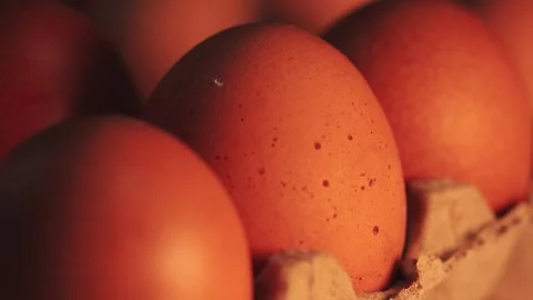 Video macro detail of brown eggs with warm light passing over them. Stock Footage 262805166