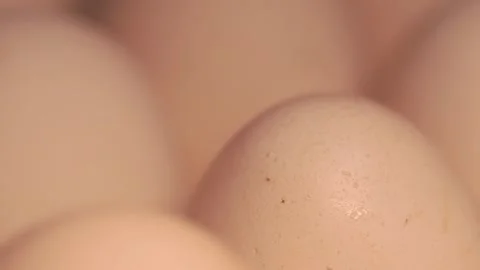 Video macro detail of white eggs with warm light passing over them. Stock Footage 262804580