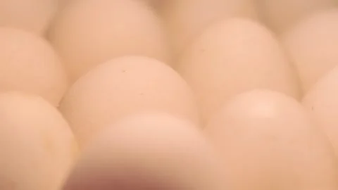 Video macro detail of white eggs with warm light passing over them. Stock Footage 262804583
