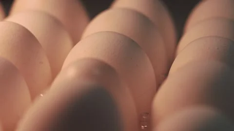 Video macro detail of white eggs with warm light passing over them. Stock Footage 262804589