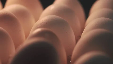 Video macro detail of white eggs with warm light passing over them. Stock Footage 262804590