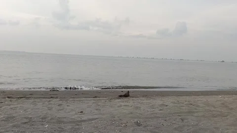 Video The Magic of Sunset at the Beach Video stock 293282288