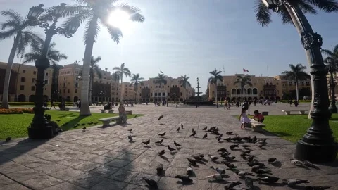 Video of the main square in the capital of Peru. Stock Footage 233602833