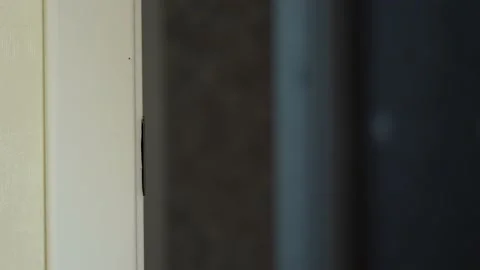 Video of man opens the door and enter in (out) Stock Footage 211176206