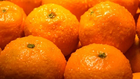 Video with mandarins with slider Stock Footage 101744012