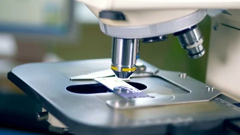 Video-material-of-real-time-microscope-examination-specimen Stock Footage 126230945