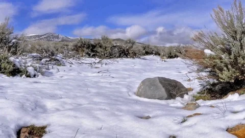 Video-material-of-super-Qing-close-up-grassland-snow-scene Stock Footage 126231144