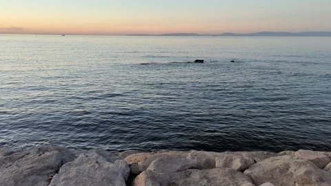 Video of Mediterranean Sea waves at sunset in Tangier, Morocco. Stock Footage 241367552