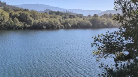 Video of the mighty Klamath River viewed from a high shore point Stock Footage 319922109