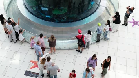 Video of a modern shopping centre.   Stock Footage 282507392