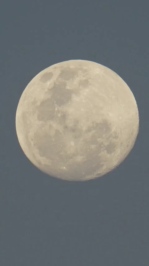 Video of moon in the sky.Vertical video Video stock 303949526