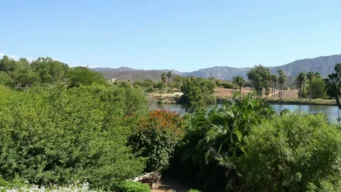 Video of oasis in 4K Stock Footage 86039187