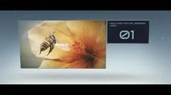 Video Opener Stock After Effects