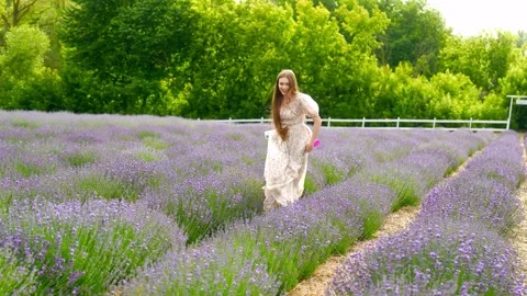 Video-output-2C1EECFF-5DC7-4724-BE12-D257D264F657-2 Stock Footage 313889181