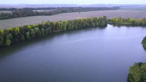 Video over the pond and trees Stock Footage 162231732
