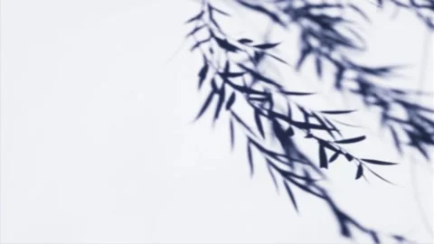 Video Overlays Video stock 143079658