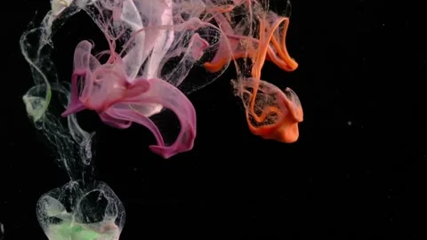 Video of paint falling into the water Stock Footage 172468199