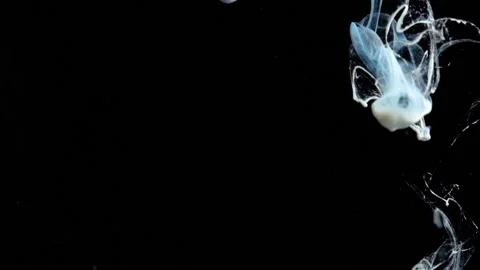 Video of paint falling into the water Stock Footage 172468367