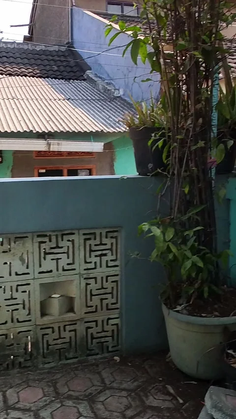 Video of Pale pigeon stands near a vibrant turquoise wall. Stock Footage 346032453