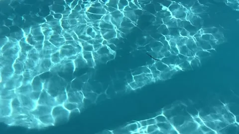 Video of a palm tree shadow cast across crystal-clear blue swimming pool water.  Stock Footage 337771486