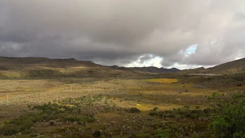 Video pan of Sumapaz páramo with iconic frailejones and cloudy mountains Vídeo Stock 315769842