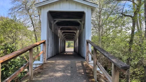 Video panning from a covered pedestrian bridge Stock-Footage 334965229