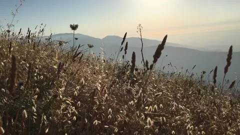 Video from the peak of tazarin mountains Stock Footage 130408797
