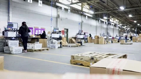 Video of People Working in a Warehouse Distribution Center Vídeo Stock 167560627