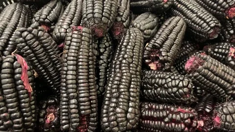 Video of Peruvian purple corn in a local market. Food concept. Stock Footage 255627717