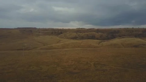 Video from pile driver, nature, fields of trees, flowering trees, garden Stock Footage 311525648