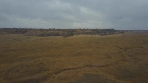 Video from pile driver, nature, fields of trees, flowering trees, garden Stock Footage 311525681