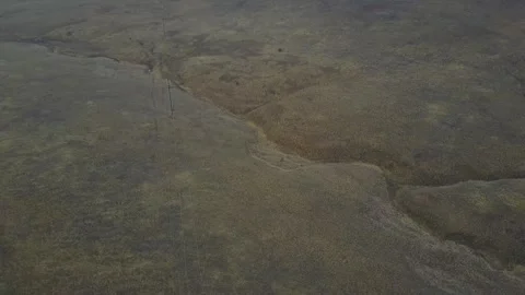 Video from pile driver, nature, fields of trees, flowering trees, garden Stock Footage 311525683