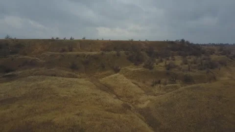 Video from pile driver, nature, fields of trees, flowering trees, garden Stock Footage 311525685