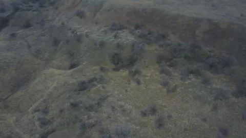 Video from pile driver, nature, fields of trees, flowering trees, garden Stock Footage 311525709