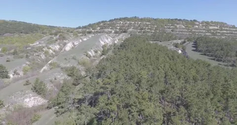 Video from pile driver, nature, fields of trees, flowering trees, garden Stock Footage 311525788