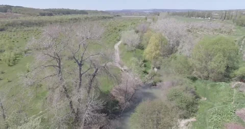 Video from pile driver, nature, fields of trees, flowering trees, garden Stock Footage 311525790