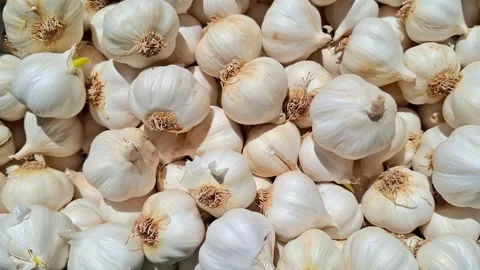 Video with pile of garlic. 4K Stock-Footage 308816565