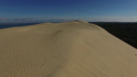 Video of pine forest near to the largest sand dune and blue sky Stock Footage 70542912