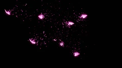 Video of pink butterflies dancing Stock Footage 209274484