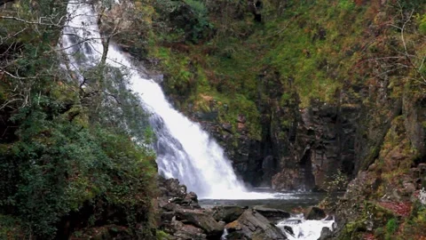 Video, Pistyll y Cain Waterfall in Coed y Brenin Forest Park in Autumn, fall Stock Footage 240247463