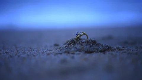 Video profile wedding ring for engagement and ceremony Stock Footage 92862422