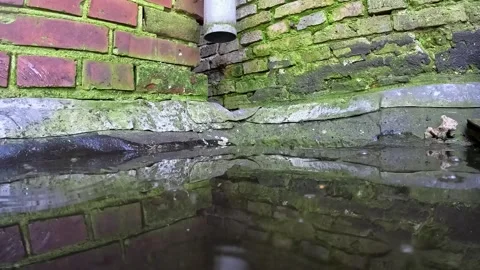 Video pushing water into a drain. Видео 332802155